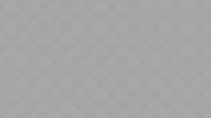 Nintendo Switch Gray