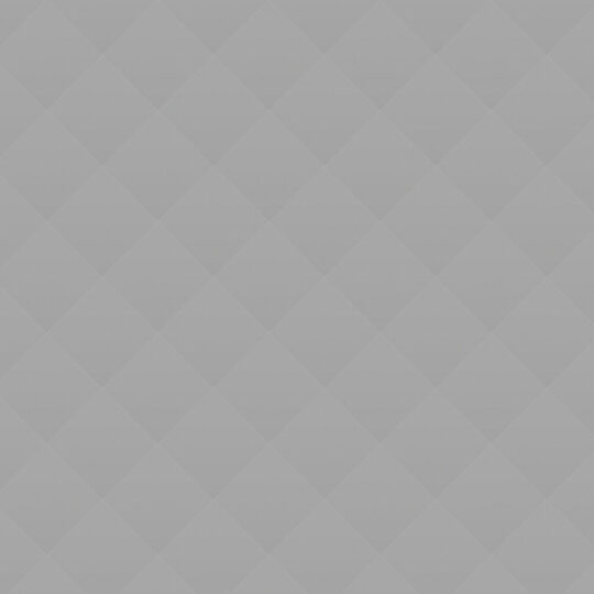 Nintendo Switch Gray